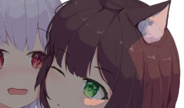 xx69视频,揭秘XX领域的精彩瞬间